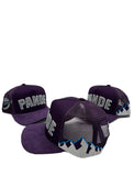 Purple City PANDEMONIUM SnapBack Hat
