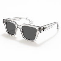 Pandemonium Grey Sun Blockers